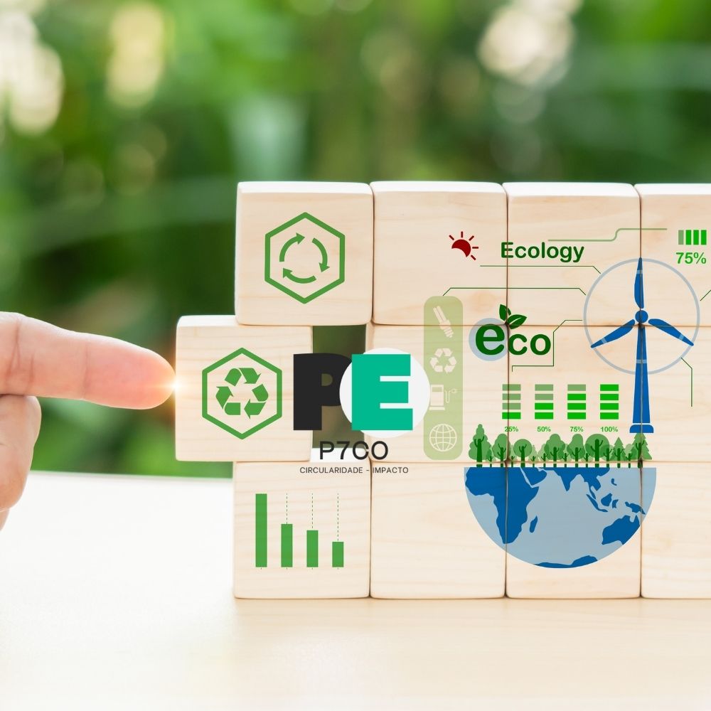 Economia Circular – O que é, porque importa e como beneficia as organizações