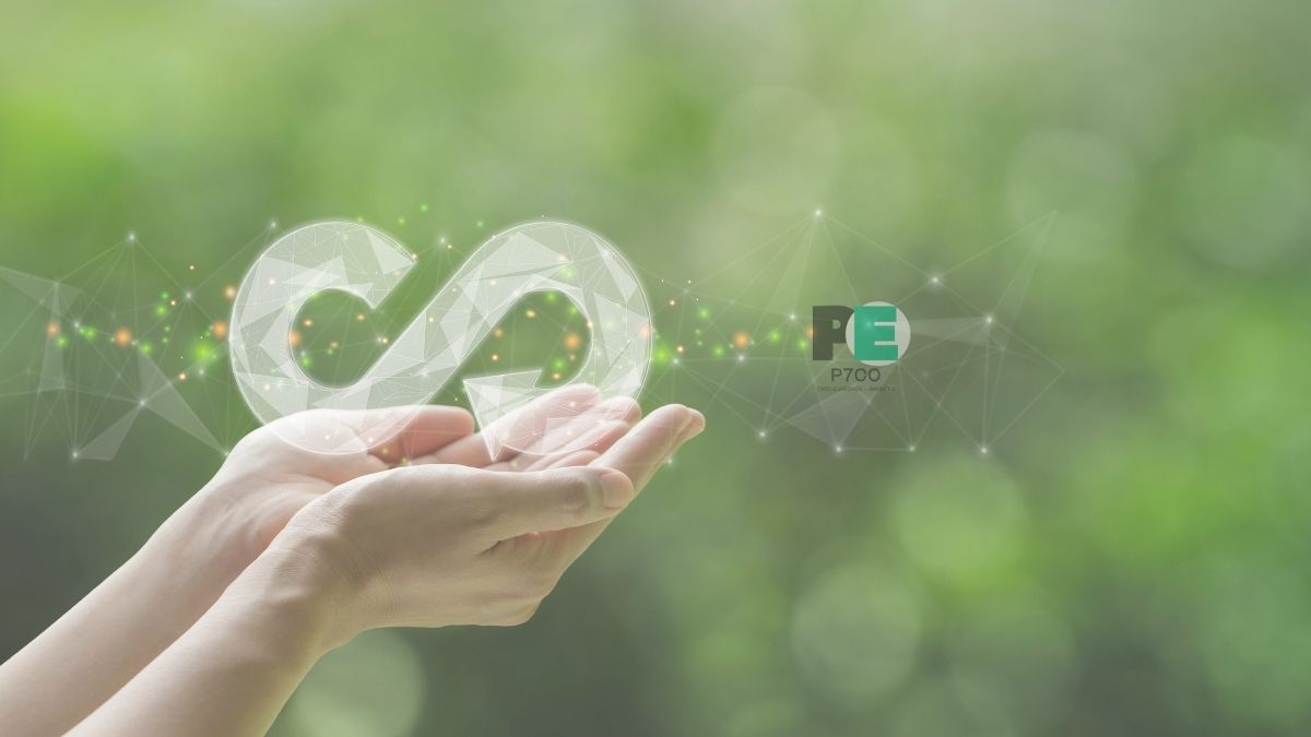 Circularidade: O Futuro Sustentável para Empresas e Sociedade